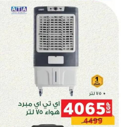 available at Panda  in Egypt - Cairo