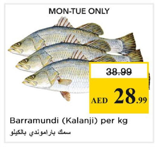 available at نستو هايبرماركت in الإمارات العربية المتحدة , الامارات - رَأْس ٱلْخَيْمَة