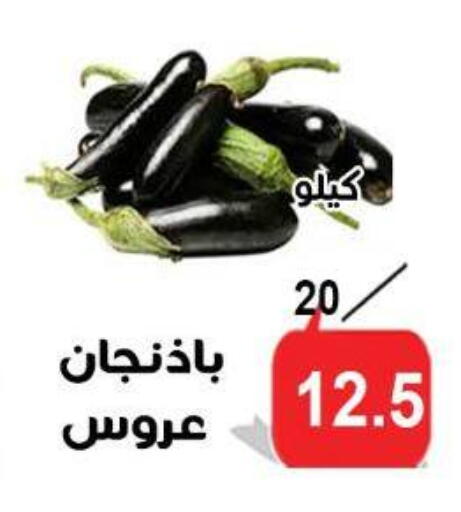 available at الدنيا بخير in Egypt - القاهرة