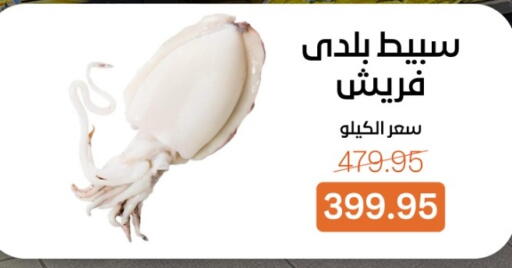 available at بيت الجملة in Egypt - القاهرة