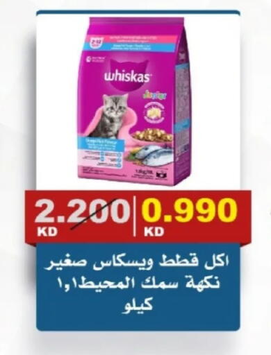 available at جمعية الصديق التعاونية in الكويت - مدينة الكويت