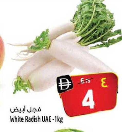 Radish available at سفاري هايبر ماركت in الإمارات العربية المتحدة , الامارات - رَأْس ٱلْخَيْمَة