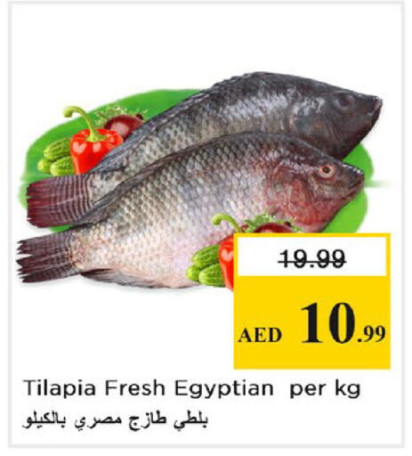 available at نستو هايبرماركت in الإمارات العربية المتحدة , الامارات - رَأْس ٱلْخَيْمَة