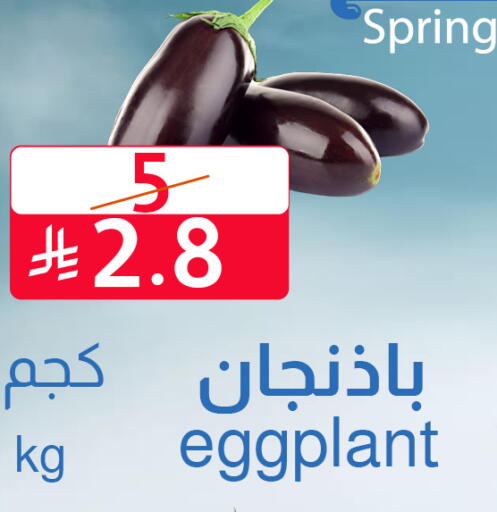 Eggplant available at متاجر أبياتي in مملكة العربية السعودية, السعودية, سعودية - المدينة المنورة