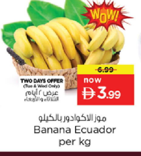 Banana from Ecuador available at نستو هايبرماركت in الإمارات العربية المتحدة , الامارات - الشارقة / عجمان