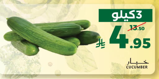 Cucumber available at Mira Mart Mall in KSA, Saudi Arabia, Saudi - Jeddah