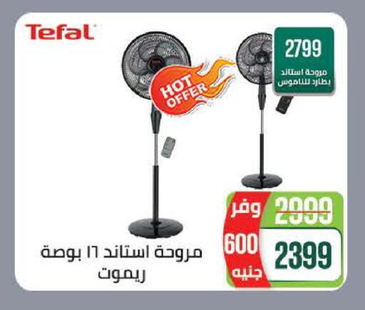 available at سعودي سوبرماركت in Egypt - القاهرة