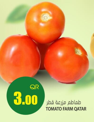 Tomato from Qatar available at جراند هايبرماركت in قطر - أم صلال