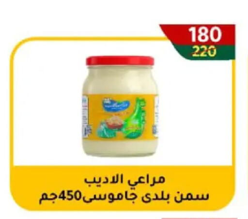available at وكالة المنصورة - الدقهلية‎ in Egypt - القاهرة