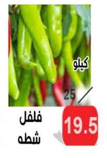available at الدنيا بخير in Egypt - القاهرة