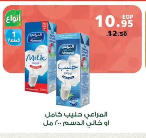 available at بنده in Egypt - القاهرة