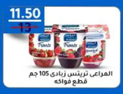 available at وكالة المنصورة - الدقهلية‎ in Egypt - القاهرة