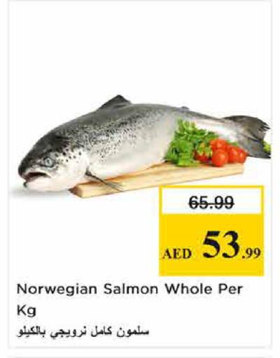 available at نستو هايبرماركت in الإمارات العربية المتحدة , الامارات - الشارقة / عجمان