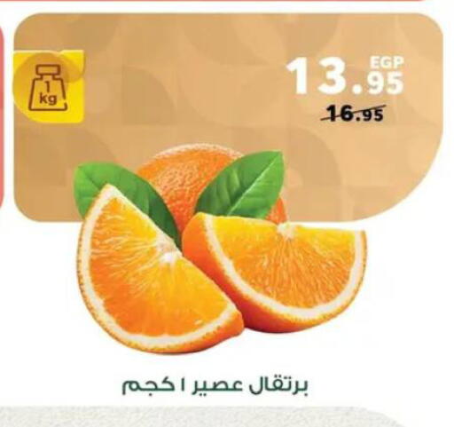 available at بنده in Egypt - القاهرة