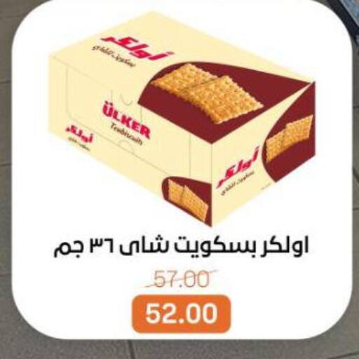 available at بيت الجملة in Egypt - القاهرة