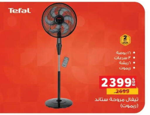 available at Panda  in Egypt - Cairo