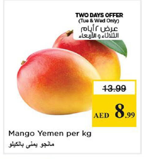 Mango from Yemen available at نستو هايبرماركت in الإمارات العربية المتحدة , الامارات - أبو ظبي