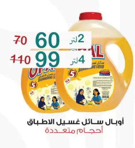 available at Wekalet Elmansoura - Dakahlia  in Egypt - Cairo