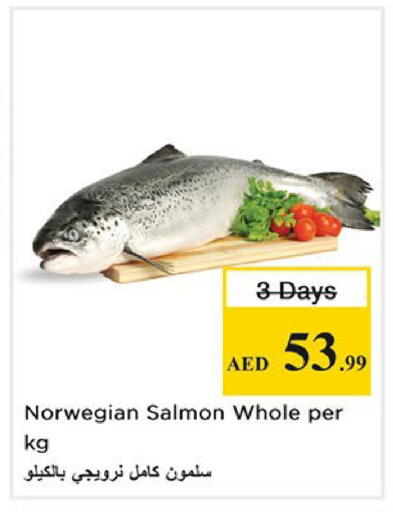 available at نستو هايبرماركت in الإمارات العربية المتحدة , الامارات - الشارقة / عجمان