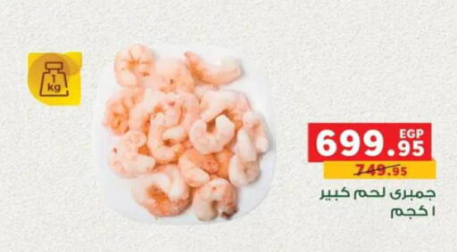 available at بنده in Egypt - القاهرة