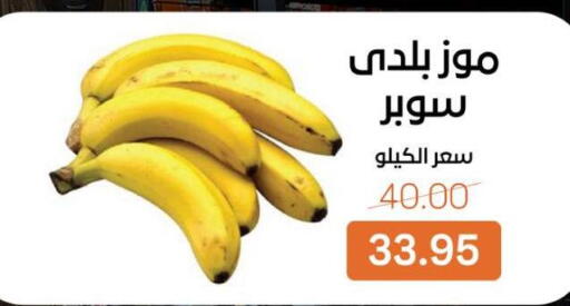 available at بيت الجملة in Egypt - القاهرة