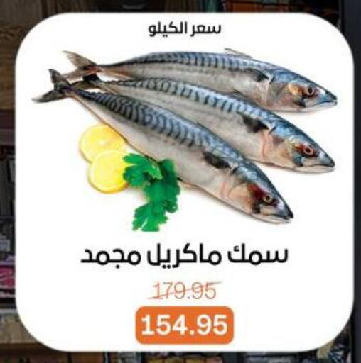 available at بيت الجملة in Egypt - القاهرة