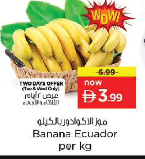 Banana from Ecuador available at نستو هايبرماركت in الإمارات العربية المتحدة , الامارات - دبي
