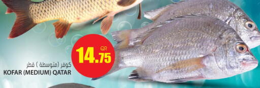 available at جراند هايبرماركت in قطر - أم صلال