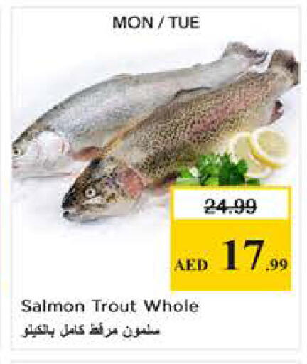 available at Nesto Hypermarket in UAE - Dubai