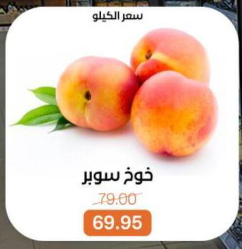 available at بيت الجملة in Egypt - القاهرة