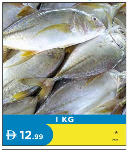 available at Istanbul Supermarket in UAE - Dubai