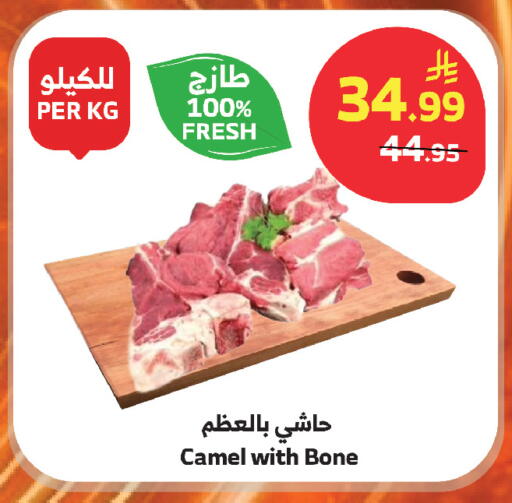 available at الراية in مملكة العربية السعودية, السعودية, سعودية - جازان