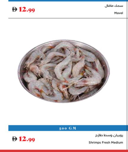 available at Trolleys Supermarket in UAE - Dubai