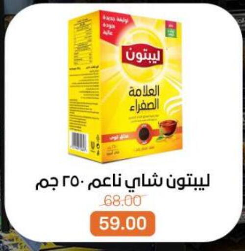 available at بيت الجملة in Egypt - القاهرة