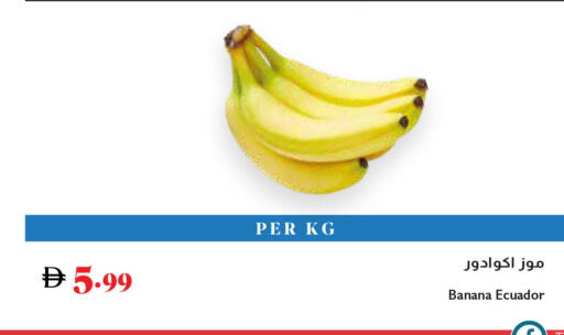Banana from Ecuador available at تروليز سوبرماركت in الإمارات العربية المتحدة , الامارات - الشارقة / عجمان