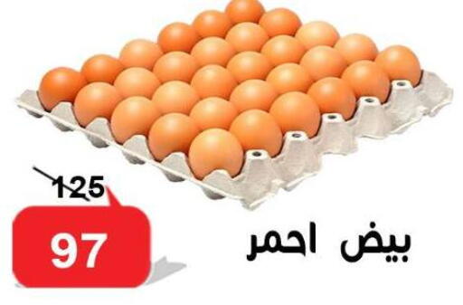 available at الدنيا بخير in Egypt - القاهرة