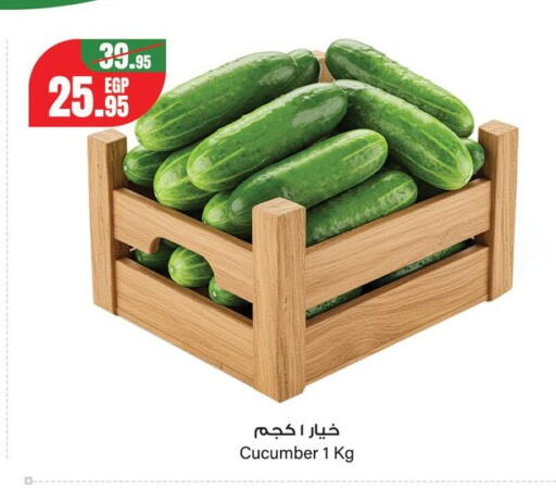 Cucumber from Egypt available at Géant Egypt in Egypt - Cairo