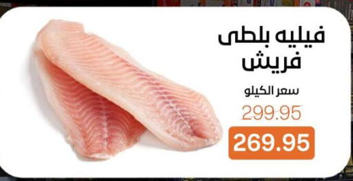 available at بيت الجملة in Egypt - القاهرة