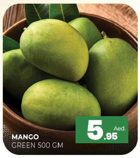 Mango available at المدينة in الإمارات العربية المتحدة , الامارات - الشارقة / عجمان