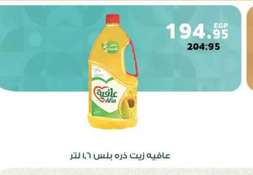available at بنده in Egypt - القاهرة
