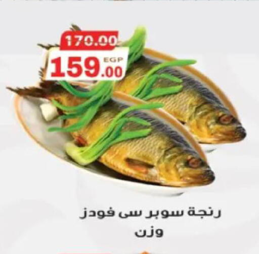 available at جلهوم ماركت in Egypt - القاهرة