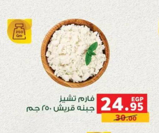 available at بنده in Egypt - القاهرة