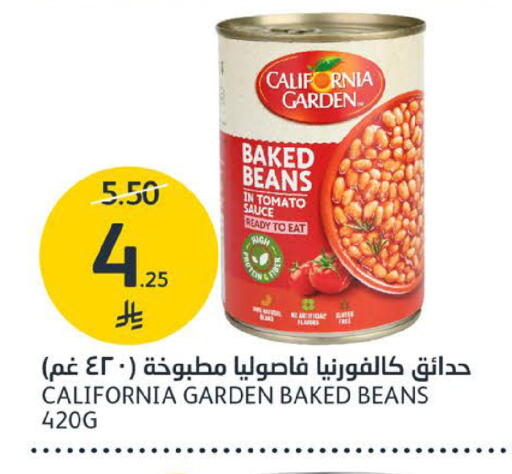 Tomato available at مركز الجزيرة للتسوق in مملكة العربية السعودية, السعودية, سعودية - الرياض