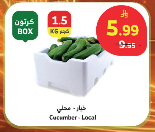 Cucumber available at الراية in مملكة العربية السعودية, السعودية, سعودية - أبها