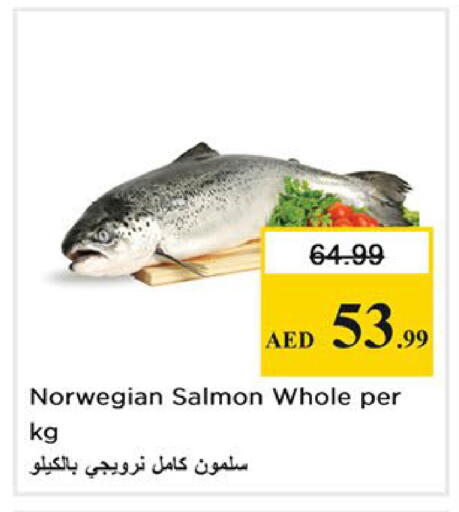 available at نستو هايبرماركت in الإمارات العربية المتحدة , الامارات - أبو ظبي