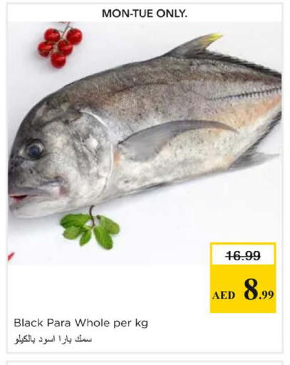 available at Nesto Hypermarket in UAE - Dubai