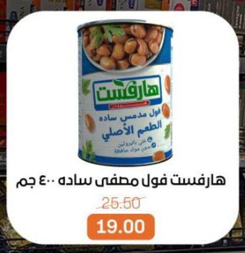available at بيت الجملة in Egypt - القاهرة