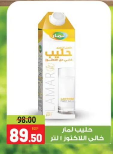 available at جلهوم ماركت in Egypt - القاهرة