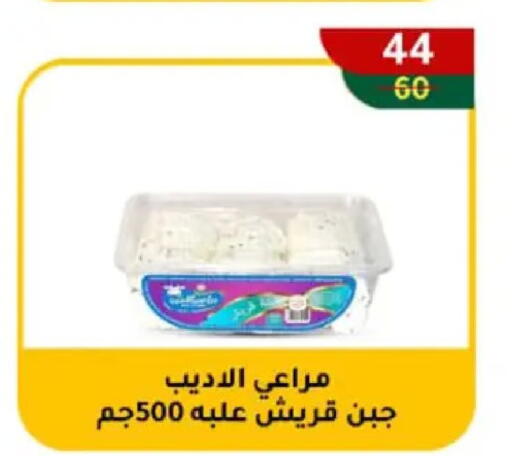 available at وكالة المنصورة - الدقهلية‎ in Egypt - القاهرة