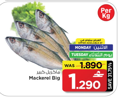 available at MARK & SAVE in Oman - Sohar